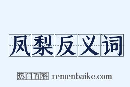 凤梨反义词是什么意思的图片
